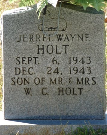 HOLT, JERREL WAYNE - Colbert County, Alabama | JERREL WAYNE HOLT - Alabama Gravestone Photos