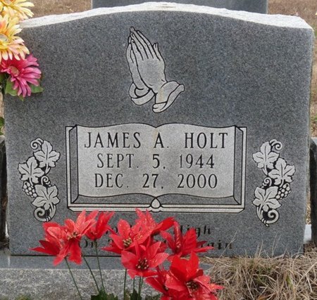 HOLT, JAMES A - Colbert County, Alabama | JAMES A HOLT - Alabama Gravestone Photos