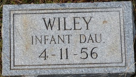 WILEY, INFANT DAUGHTER - Colbert County, Alabama | INFANT DAUGHTER WILEY - Alabama Gravestone Photos