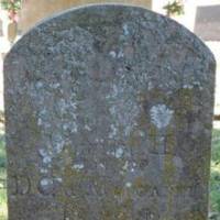 William H THOMPSON