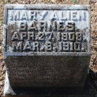 Mary Alien BARNES